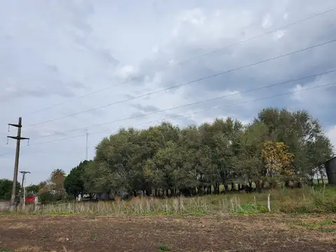 RUTA 12 100