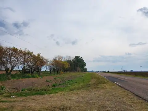 CAMPO 13HAS ENTRE RIOS