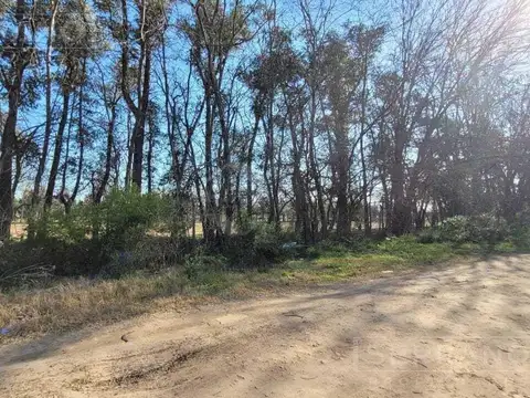 Venta de Campo Chacra Fracción de 2 Hectáreas en Pilar. Desarrollo Inmobiliario