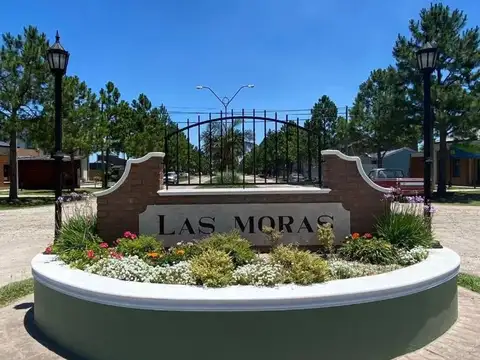 TERRENO EN VENTA EN LAS MORAS, MONTEVERA