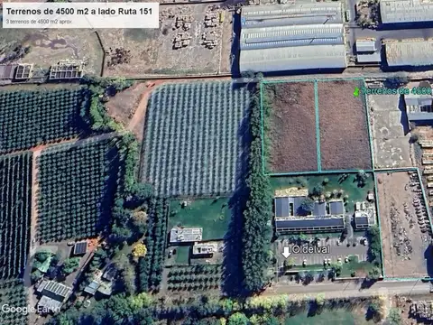 Rogelio Segovia 11300