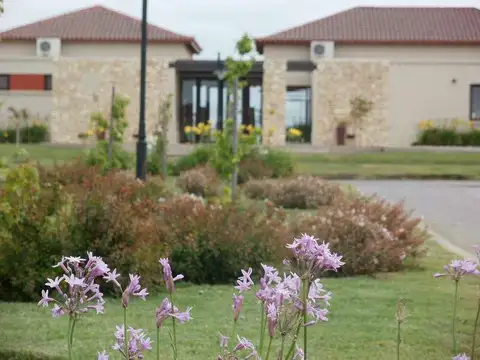 Terreno en Venta en Santa Rita, USD 30.000