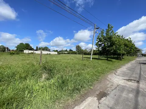 Terreno en Venta en Villa Elisa, USD 60.000