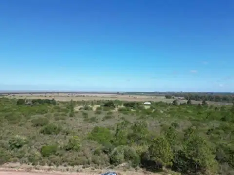 Terreno en venta - 1 Hectárea - Matamora, Uruguay