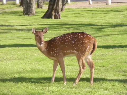 Terreno en Venta en Ezeiza, USD 85.000