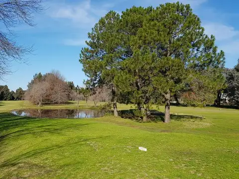 Terreno en Venta de 800,0 m2