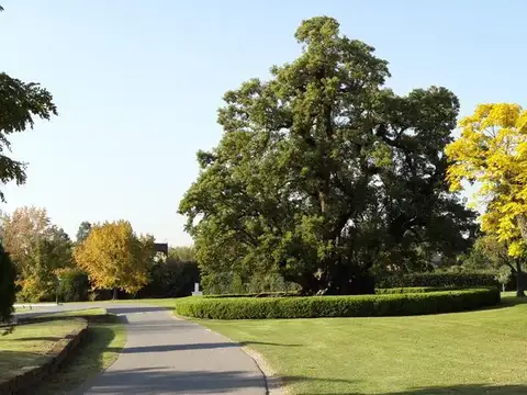 Terreno en Venta de 800,0 m2