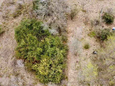 Terreno en Venta de 300,0 m2