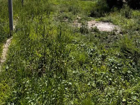 Terreno en Venta de 250,0 m2