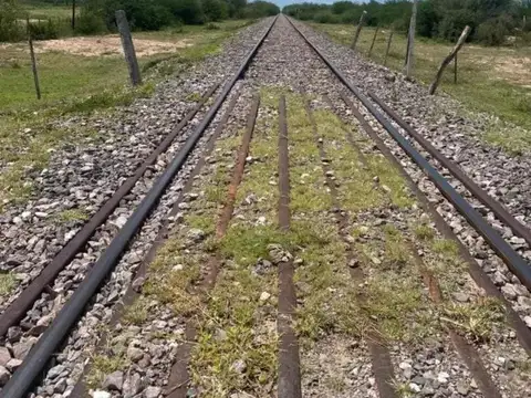 MMP. Venta campo 500ha Ruta 34 Lugones Santiago del Estero