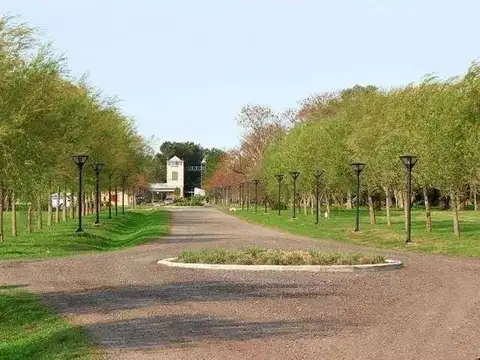Terreno en Venta 50  mts Fondo