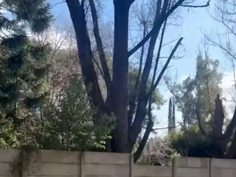 Joaquín Gonzalez 2201