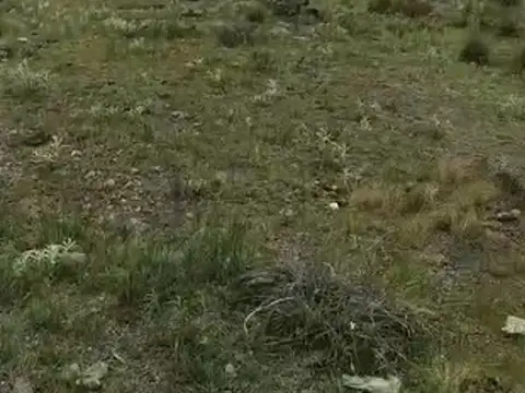 Terreno en Venta en Villa Sierras del Lago, USD 90.000