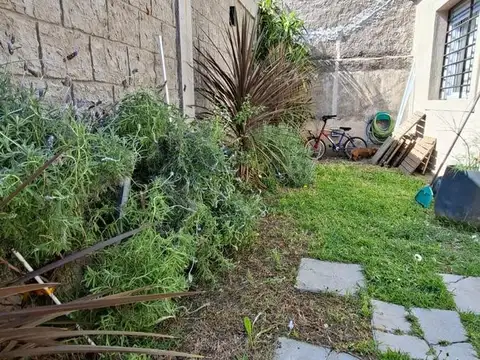 Larrea al 2800