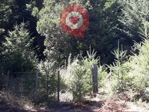 El Bolson