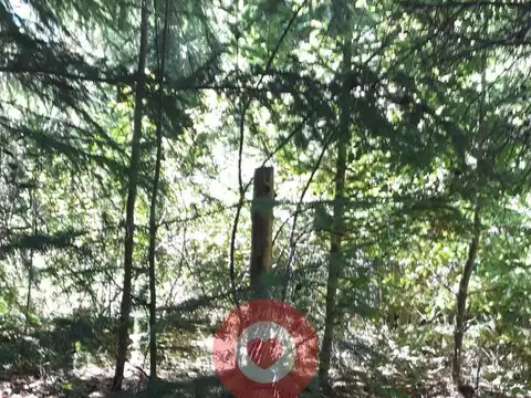El Bolson