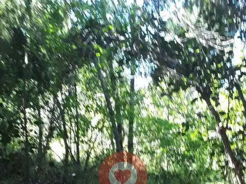 Terreno en Mallin Ahogado