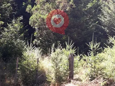 Terreno en Venta en El Bolsón, USD 30.000