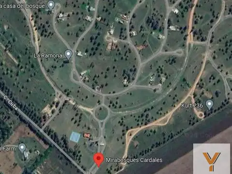 Mirabosques III