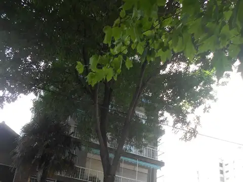 J De Garay 2000, Piso PB