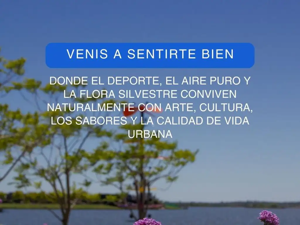 VENTA Casa en el barrio Acacias, Puertos (3 dormitorios, galeria con parrila, jardin) - Foto 23