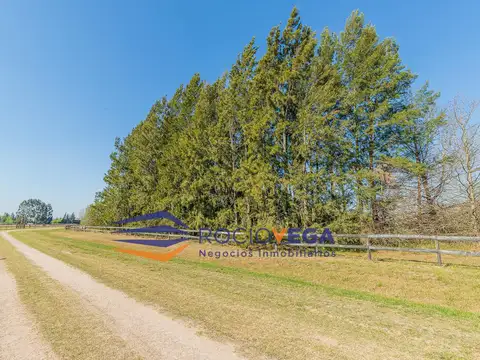 Terreno en Venta 115  mts Fondo