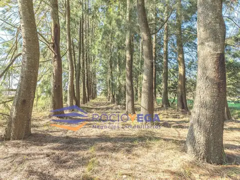 Terreno en Venta de 10005,0 m2