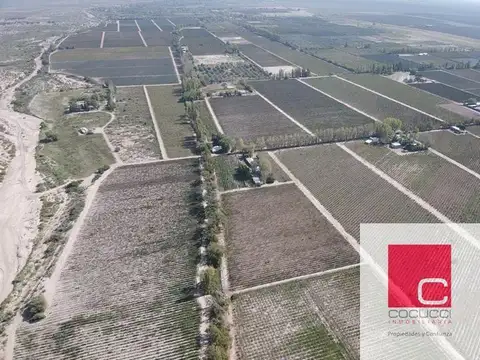 Barrancas - Ruta Provincial 14