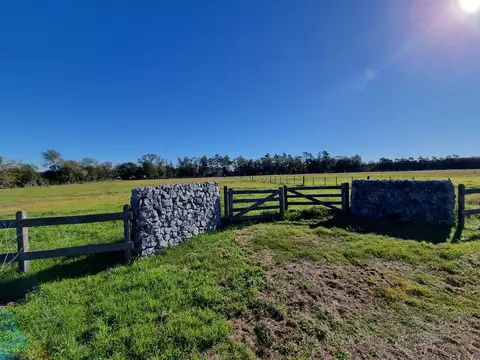 Chacra en Venta en Zelaya, GBA Zona Norte, Pilar
