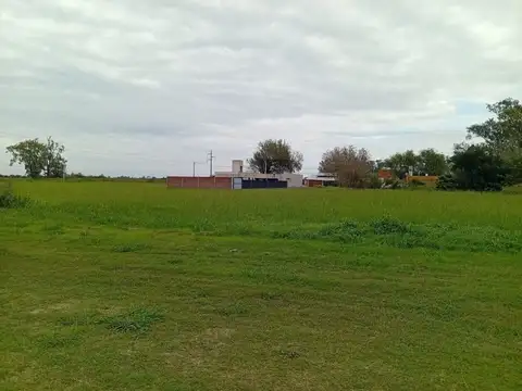 Moreno 3200