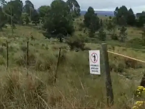 Terreno en Venta de 20000,0 m2