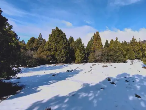 VENTA TERRENO PENINSULA  MELIQUINA - SAN MARTIN DE LOS ANDES