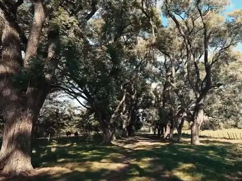 Terreno en Venta en Carabassa, USD 82.000