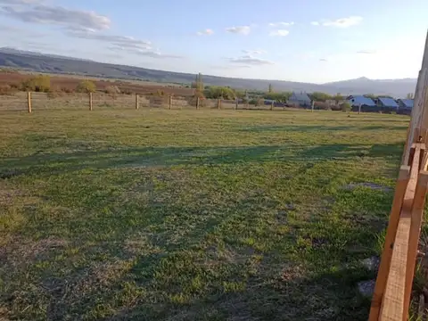 Mutisia entre calle Pangue y Huautro