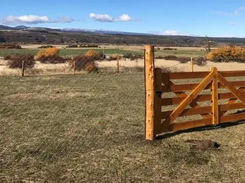 Mutisia entre calle Pangue y Huautro