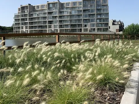 Venice dos amb. al agua Cruceros