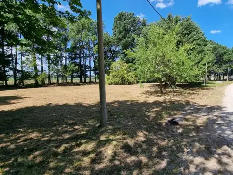Terreno en Venta en Mar del Plata, Partido de General Pueyrredón