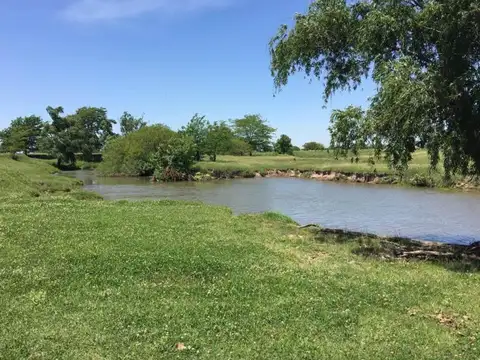 Campo en venta - 53 Hectáreas - Ramallo