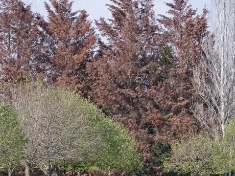 lote en venta en Tessalia Tierra de Centauros