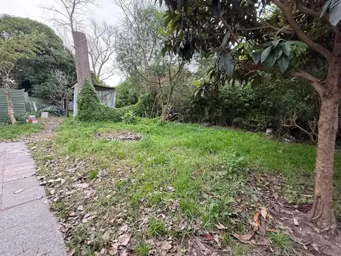 Monoambiente en Planta Baja  en Alfar