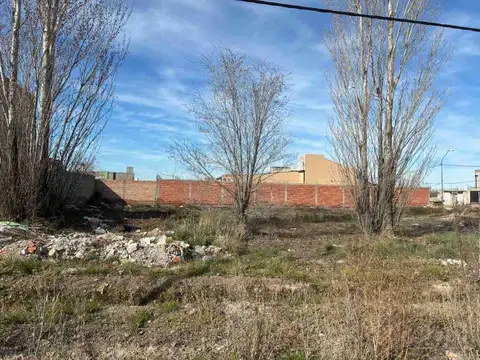 Los Durazneros