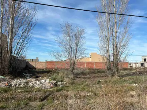 LOTE RESIDENCIAL 382m2 EN GENERAL ROCA