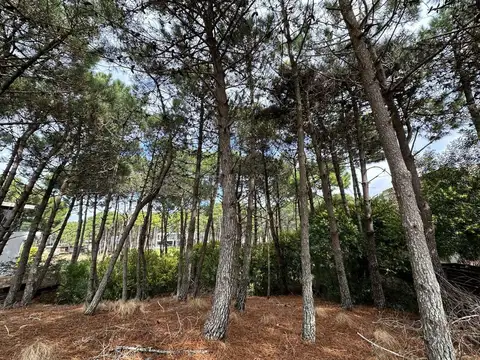 Terreno en Venta en Villarobles, USD 150.000