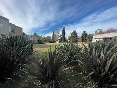 Ruta 205 Km 54 - La Taquara