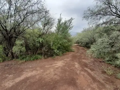 Campo en Venta de 927  ha