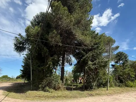 Cuyo al 600