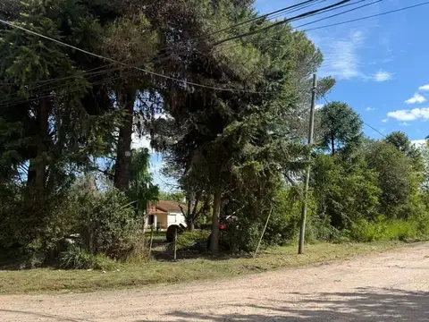 Cuyo al 600