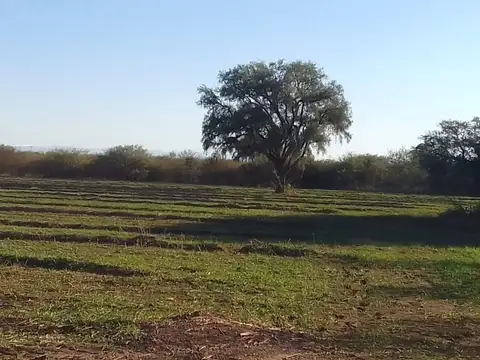 RUTA 38