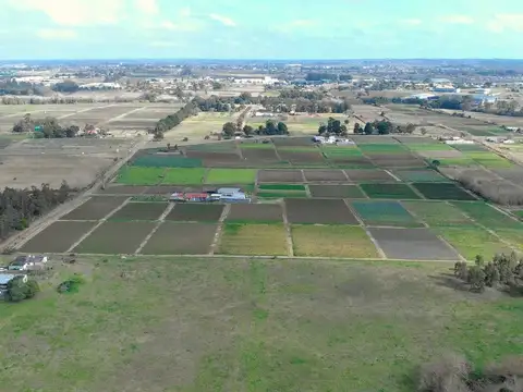 Camino de los Horneros