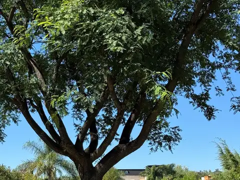 Terreno en Venta de 750,0 m2